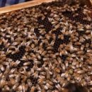 박종갑농장 이미지