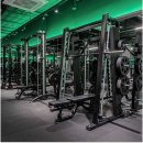 분당-273 이미지