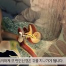 마비