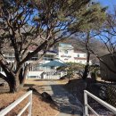 금산목욕탕 | 대전 전주 근교 수영장 있는 찜질방 금산 하늘물빛정원 찜질방