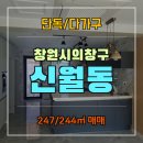 신월동247 이미지