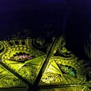 호박나이트 이미지