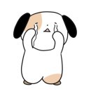 그랜드 동물병원 이미지