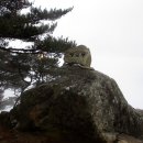 고견사주차장 이미지