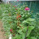 이강농장 이미지