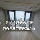 수영 엔스타 오피스텔 | 부산수영구입주청소 위어뮤즈디광안 오피스텔 입주청소 반려묘흔적 완벽제거한 작업후기