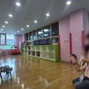 반곡별유치원 이미지