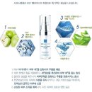 세기스템셀 이미지