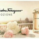 이모지오네 이미지