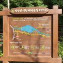 신기세천 이미지