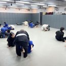 팀매드청주 이미지