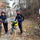 팽나무펜션 이미지