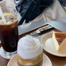 코우코알라 이미지