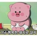 자연을닮은사람들 이미지