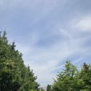 숲길 걷기 동아리 활동 이미지