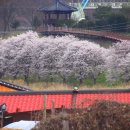 금강변길 이미지