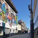 독구제과 이미지