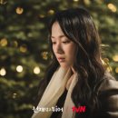 선재담 이미지