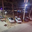 연포2020 이미지