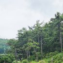 비자인조구장 이미지