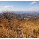 *****장성 편백숲길트래킹-병풍산(822m) 만추산행*****11월25일(수요)07시40분(시청)-08시(운동장1문). 이미지