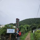 오설록 교차로 이미지