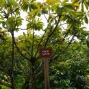 동부농장 이미지