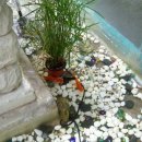 솔루나안경원 이미지