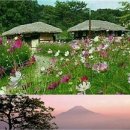 부산대학교 행정대학원 이미지