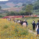 우산공원 주차장 이미지