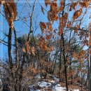 오남천1 이미지