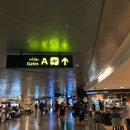 노란곰돌이PC 이미지