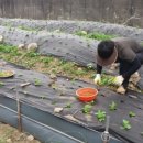 지리산슈퍼