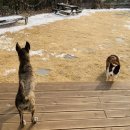 청평옆집언니 이미지