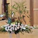 원주제일 이미지