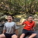 11650-17-114-4 | 제주 가볼만한곳 돈내코야영장 3박4일 후기, 아이들과 돈내코계곡 물놀이