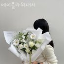 메이플라워대치