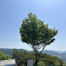 신월1리 마을회관 이미지