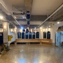 머스트윈 복싱 이미지