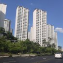 잠실파크리오아파트앞 이미지