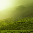 한빛유통 이미지