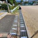 선동초등학교 이미지