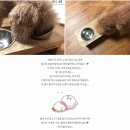 똑똑하개 | [공유] 강아지습식사료 추천! 강아지자연식으로 최고인 애견사료 개똑♥