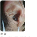 조은소리보청기제주센터 | 천안보청기 잘하는 곳 찾는다면? 전국에서 찾아오는 365매일보청기