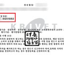 행정사사무소 너른 이미지