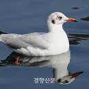갈색머리 - 구미시 원남로 66 | 갈색머리