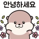 콩 노래연습장 이미지