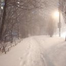 여유로이 이미지