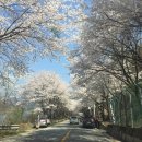 히든밸리켄넬 이미지