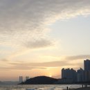 해운대시장 | 해운대 일몰 스팟 시간 해운대시장 맛집 파전 오징어 포장 후기